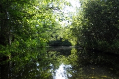 Natuerlichetunnel