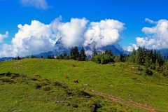 Wolkenbedeckter Kaiser